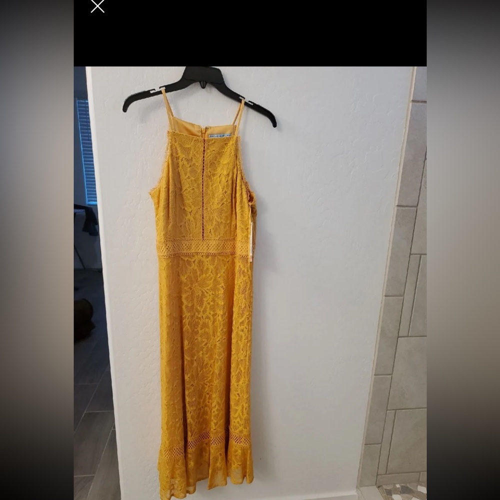 NWT Yellow Antonio Melani halter midi dress